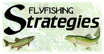 Alaskan Flyfishing Strategies
