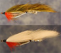 Fly Fishing reports - Steamboat Flyfisher